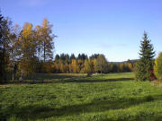 Blick nach Norden entlang des Zartenbachs am 23.10.2004