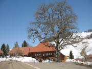 Blick nach Norden zum Gasthaus Holzer Kreuz am 20.3.2006