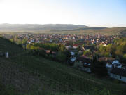 Blick vom Ltzelberg nach Sden ber Sasbach am 17.4.2007 frh morgens zu Kaiserstuhl, Hochberg und Eichert (von links)