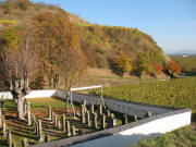 Jdischer Friedhof Ihringen am 5.11.2007 - Blick nach Sdosten