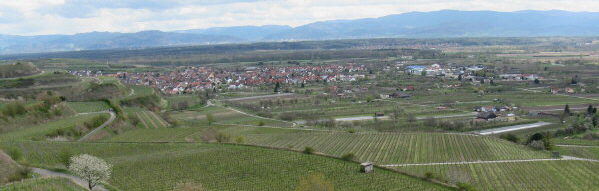 Blick vom Winklerberg nach Osten ber Ihringen zu Freiburg und Schwarzwald am 13.4.2008