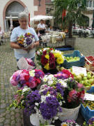 Frau Erschig aus Eichstetten mit ihren wunderschnen Blumen am 22.8.2008 auf dem Mnstermarkt