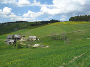 Blick nach Norden ber den Hasenhof und Donishof hoch zu Ahornhuser am 13.5.2008