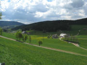 Blick nach Sden ins Reichenbachtal zu Lohrenhof und Knpfleshof am 13.5.2008
