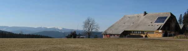 Blick vom Hochebenehof beim Russenkreuz nach Sden zum Feldberg am 11.2.2008