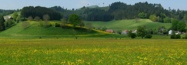 Blick nach Sdwesten am 1.Mai 2009 auf Fischbach, Kamelberg (Oben Mitte) und Erzwscherei (oben rechts)