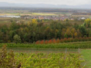 Blick nach Nordwesten vom Heubergturm am 26.10.2009 auf  Altdorf und Ettenheim