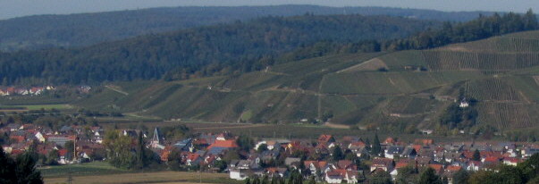 Tele-Blick vom Vogelsanghof im Suggental nach Westen auf Buchholz am 11.10.2010