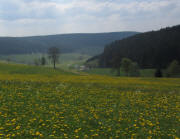 Blick vom Henselhof nach Sdosten hinab is Reichenbach am 26.4.2011 - rechts Doishusle