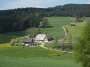 Blick nach Westen zum Lohrenhof am 26.4.2011