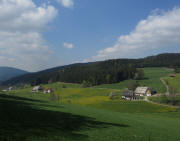 Blick nach Sden ins Reichenbachtal zu Lohrenhof, Knpfleshof und Theibisenhof (von rechts)