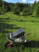 Kartaus am 27.7.2011: Blick nach Norden zu den Schafen - Solarstrom fr den Zaun