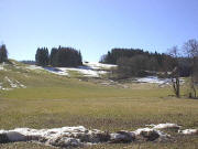 Blick von Hinterzarten nach Sden auf den Kessler Hang mit den letzten Schneeresten am 10.3.2002 - Kesslerhof rechts