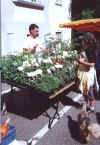 Kruter auf dem Bauernmarkt bei Artemisia am 23.9.2000