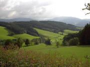 Rechtenbachtal bei Stegen im August 2002