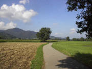 Blick von Zarten ber den Dreisamtal-Radweg nach Westen zum Kybfelsen links im August 2004