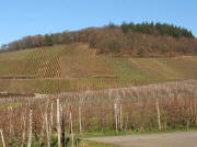 Blick nach Norden auf den Fohrenberg am 5.12.2007