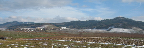Blick nach Nordosten auf Ballrechten mit Fohrenberg (links) und Castelberg (rechts) am 28.1.2007