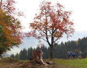Sattel bei Schwrzlehofkapelle 1.11.11: Blick nach Osten - Biker auf dem Weg zum Lindenberg